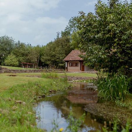 El Molino De Bonaco Konuk evi San Vicente De La Barquera Dış mekan fotoğraf